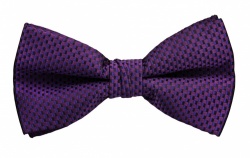 Polyester Pre-Tied Purple Bow Tie with Check Pattern